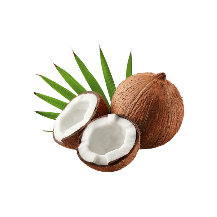 مسحوق حليب جوز الهند