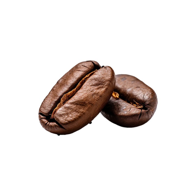تصوير ماكرو لحبيبات بذور الكاكاو (Theobroma cacao) المخمرة