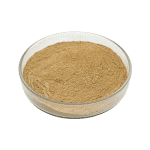 Light yellow Milk Thistle Extract fine powder detail