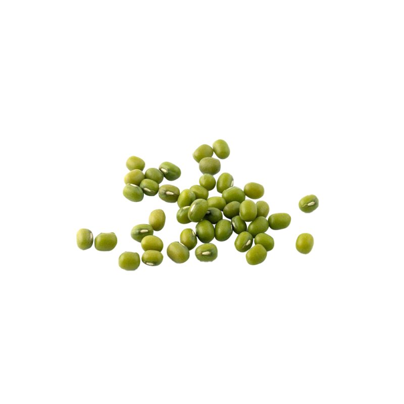 تصوير ماكرو لبذور الفاصوليا الخضراء (Vigna radiata)