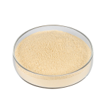 Fine milled Citrus Aurantium Extract Hesperidin texture detail