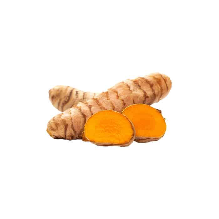 صورة ماكرو لمقطع عرضي لجذمور نبات الكركم الطويل (Curcuma longa) الطازج