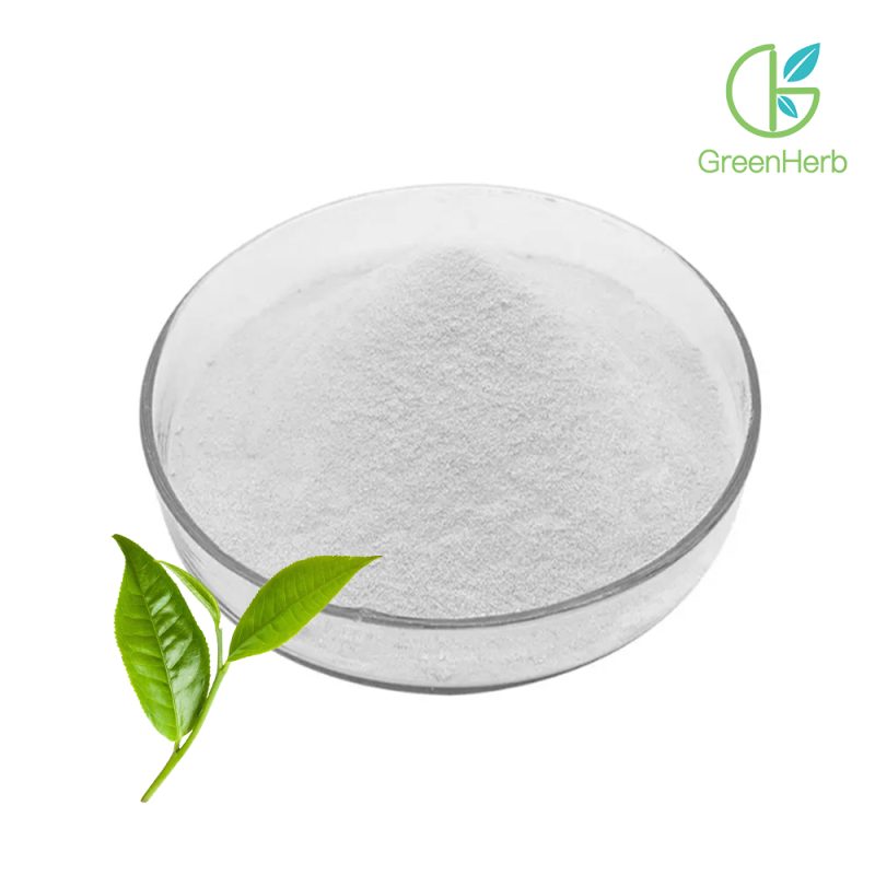 Green Tea Extract L-Theanine close-up texture detail