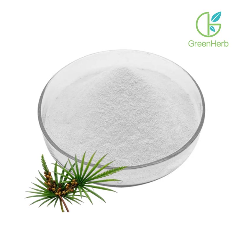 Saw Palmetto Extract close-up view
