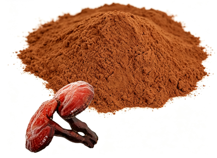 Brown Reishi Mushroom Extract fine powder detail